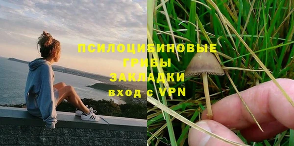 дживик Абинск