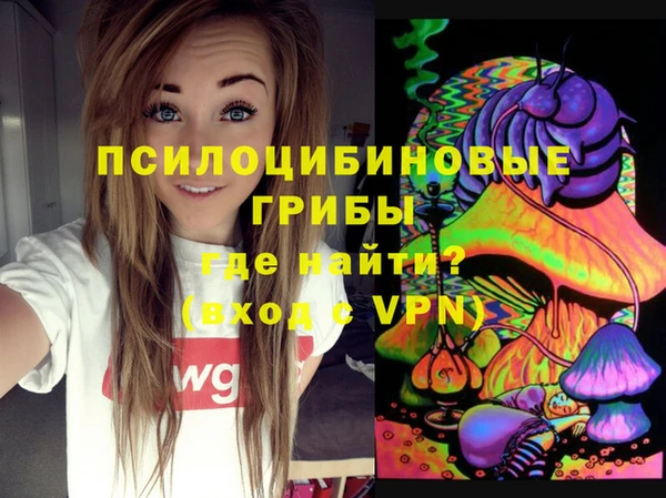 дживик Абинск
