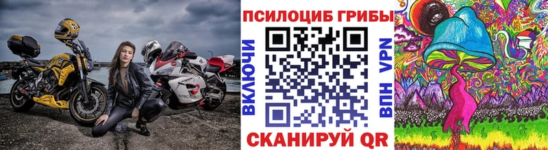 Псилоцибиновые грибы MAGIC MUSHROOMS  blacksprut онион  Абинск 