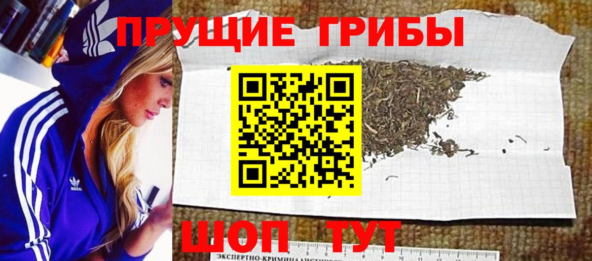 Галлюциногенные грибы GOLDEN TEACHER Абинск
